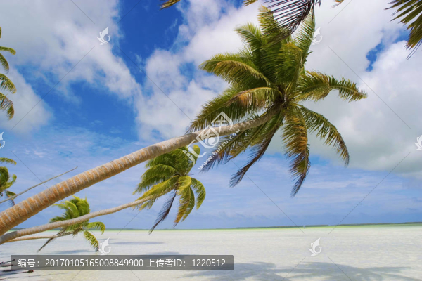 熱帶海灘的場(chǎng)景