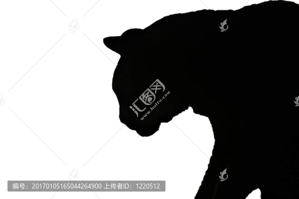 抽象；黑貓