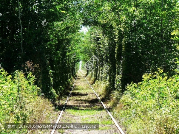 railtracks綠色
