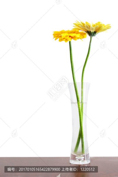 花在花瓶