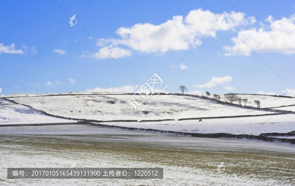 冬季景觀