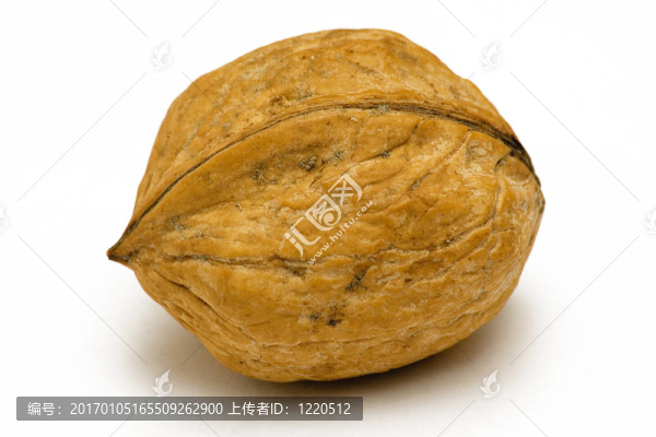 單一的核桃