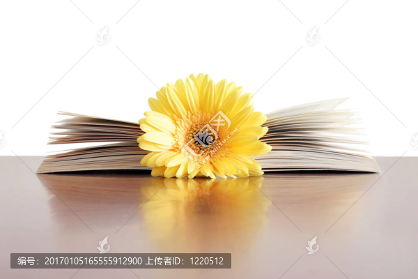 花的書(shū)