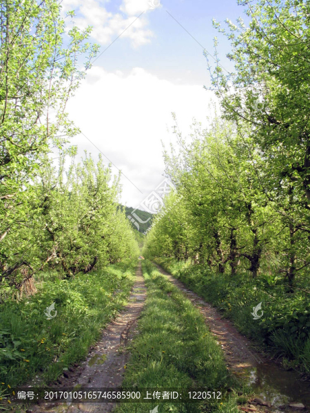 農村公路
