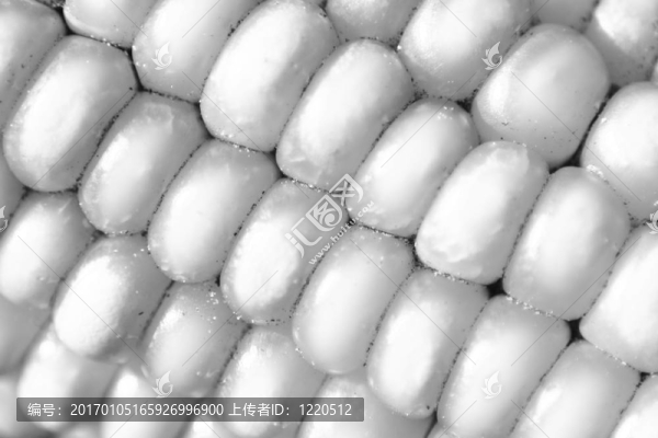 特寫鏡頭的玉米