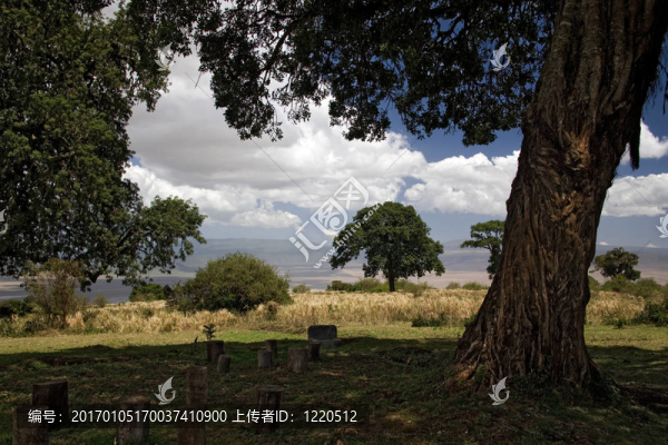 非洲景觀014里