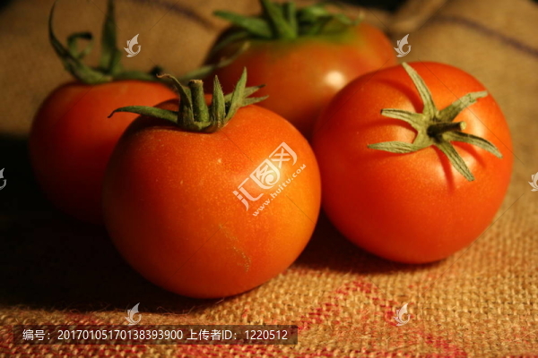 西紅柿