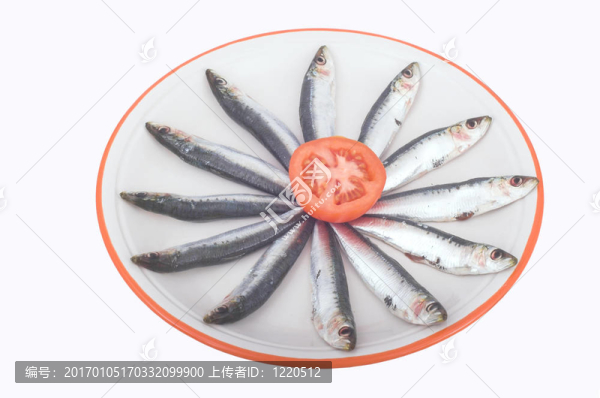 新鮮的沙丁油魚打