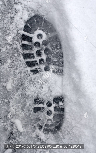 在Snow的足跡