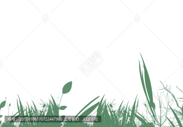 花白色