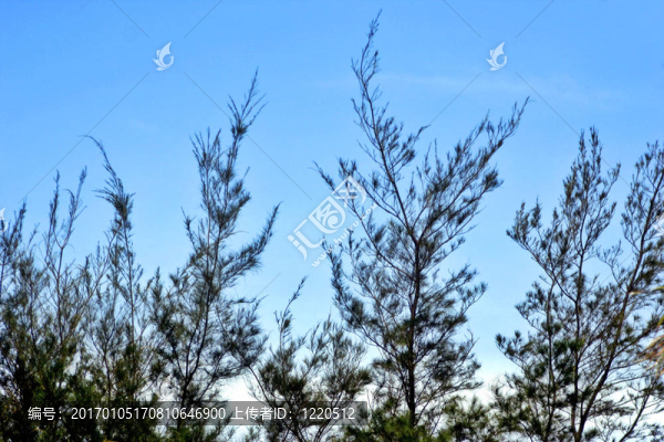 陽光微風(fēng)-匯圖網(wǎng) www.fosd68.com 陽光微風(fēng)