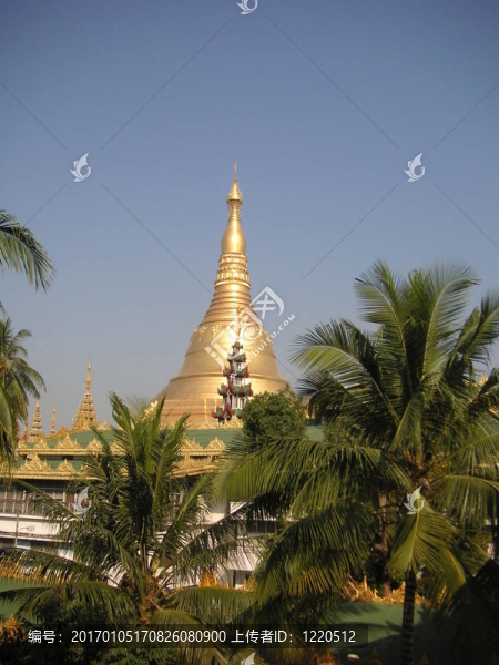 大金塔