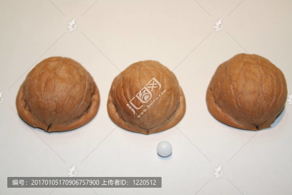 貝殼雙人舞