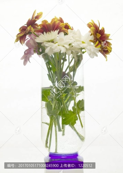 玻璃里的花