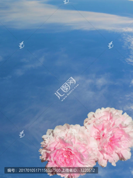 天空中的牡丹