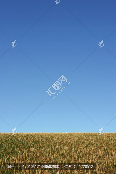 大地和天空