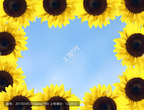 向日葵框架