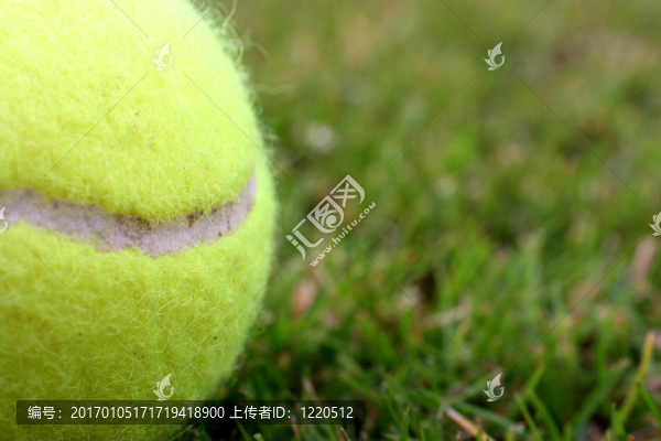網(wǎng)球