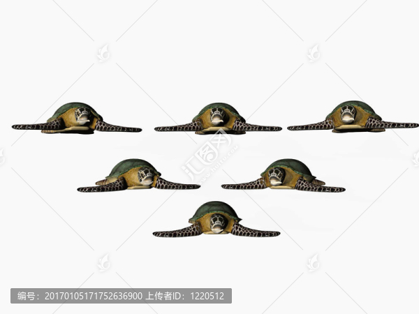 海龜點(diǎn)