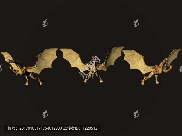 行龍