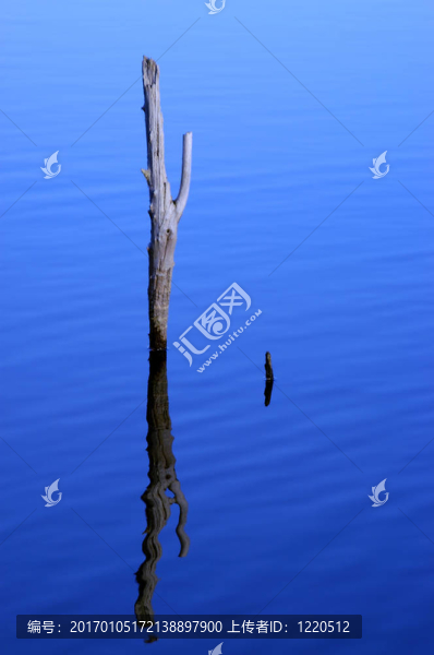 衰變