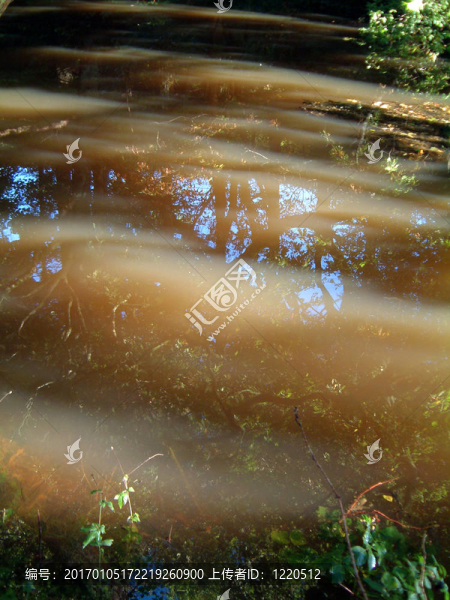 池塘reflections1