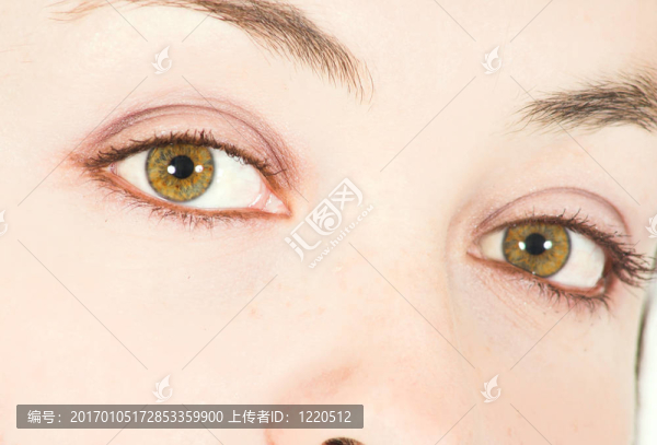 美麗的眼睛