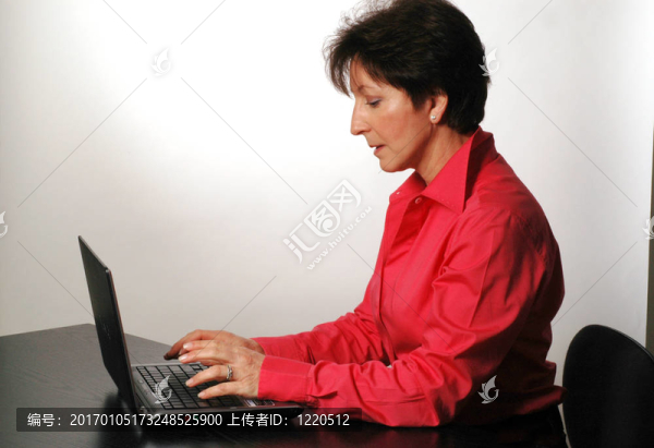 在電腦上的商業(yè)女人2057
