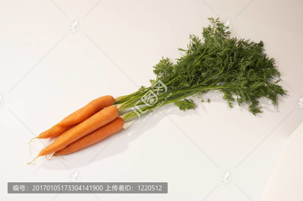 胡蘿卜karotten