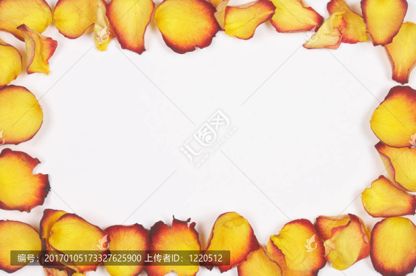 黃紅色的玫瑰花瓣rosenbl,Gelb死記硬背脙隴tteryellow紅玫瑰的花瓣-蓋爾布死記硬背
