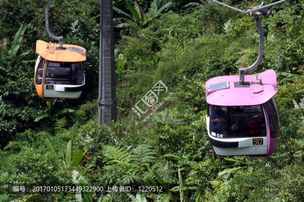 兩個有軌電車
