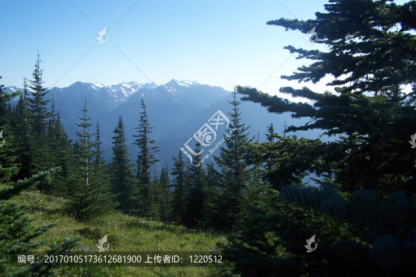 太平洋西北部的山脈