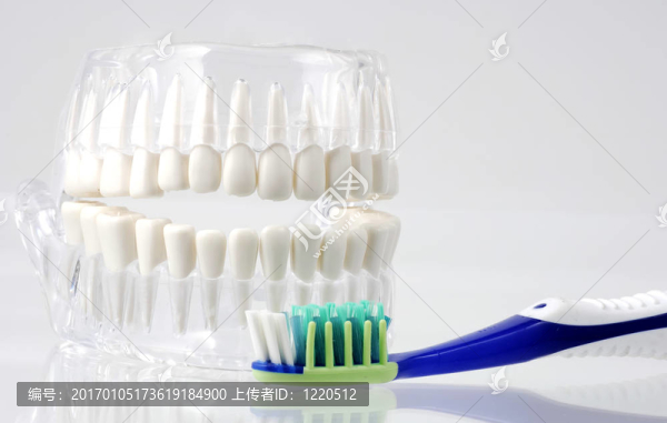 口腔衛(wèi)生