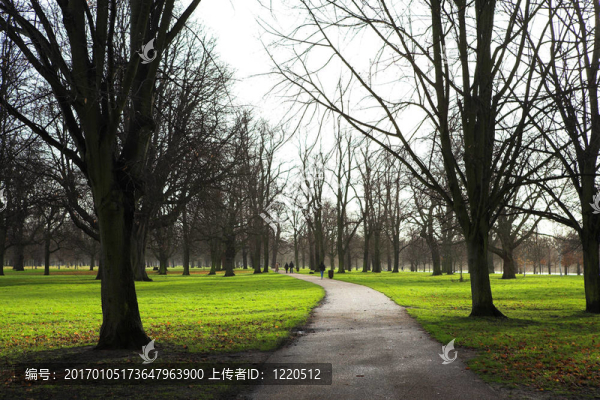 公園1