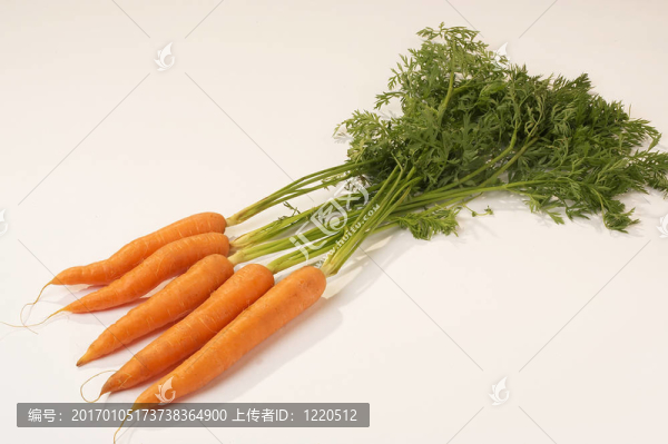 胡蘿卜karotten