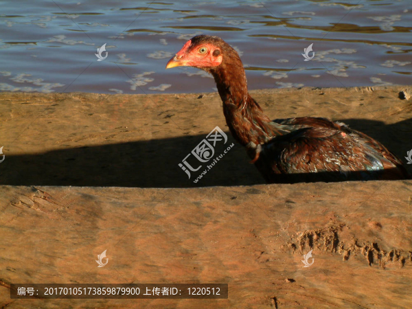 帆船晚餐