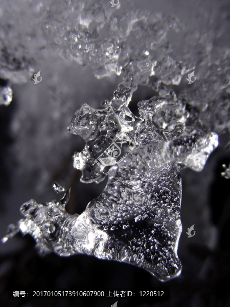 冰雕-匯圖網(wǎng) www.fosd68.com 冰雕
