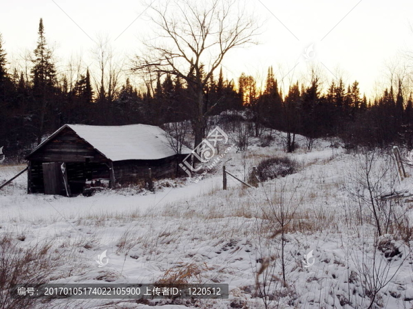 冬天的小屋