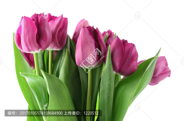 春之花束