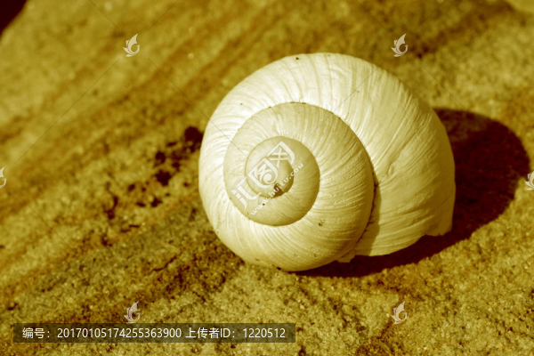 蝸居