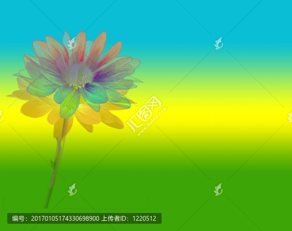 花的力量