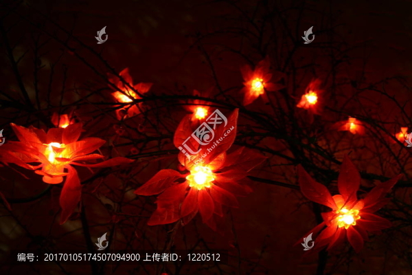 燈
