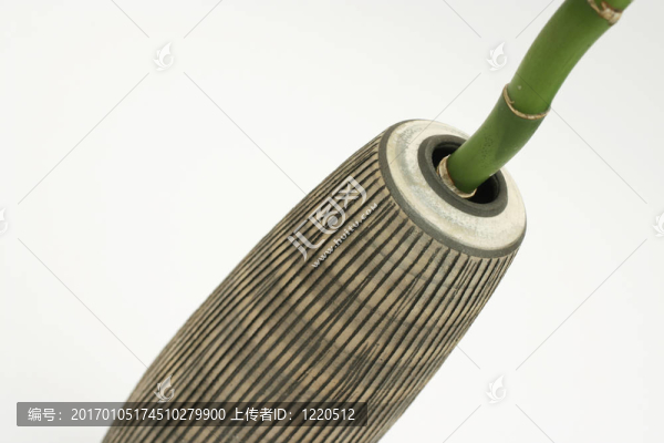 竹