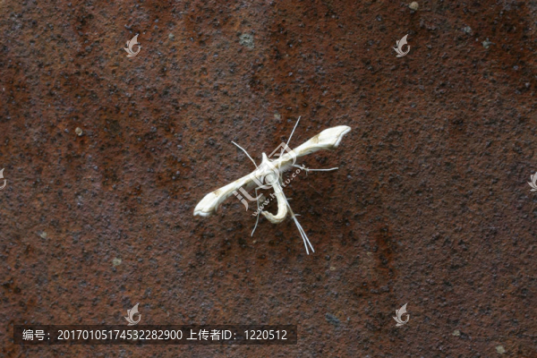 這是什么？