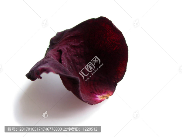干玫瑰花瓣