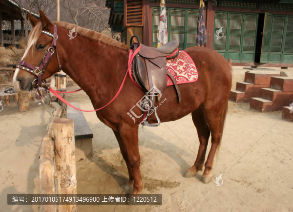馬