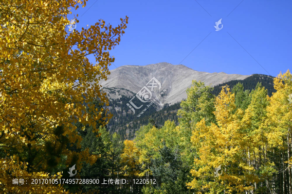 秋天的山