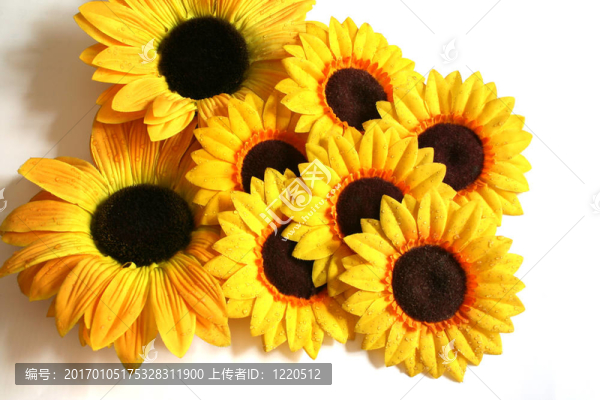 葵花展