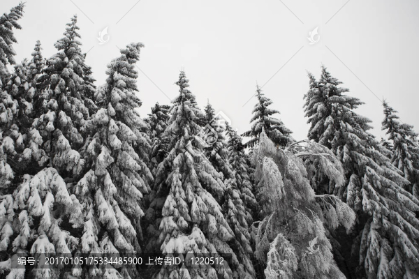 冰雪景觀10