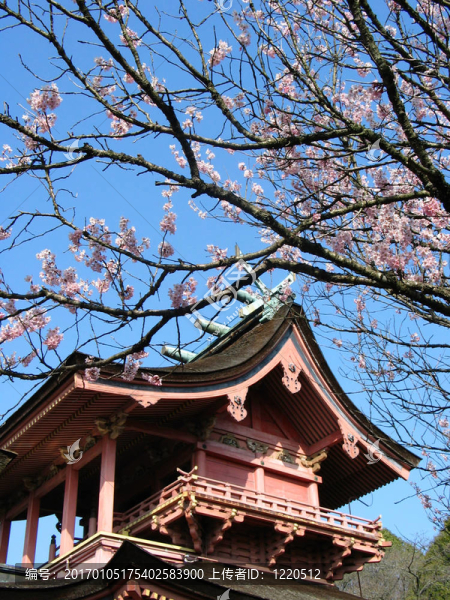 宣言神社II